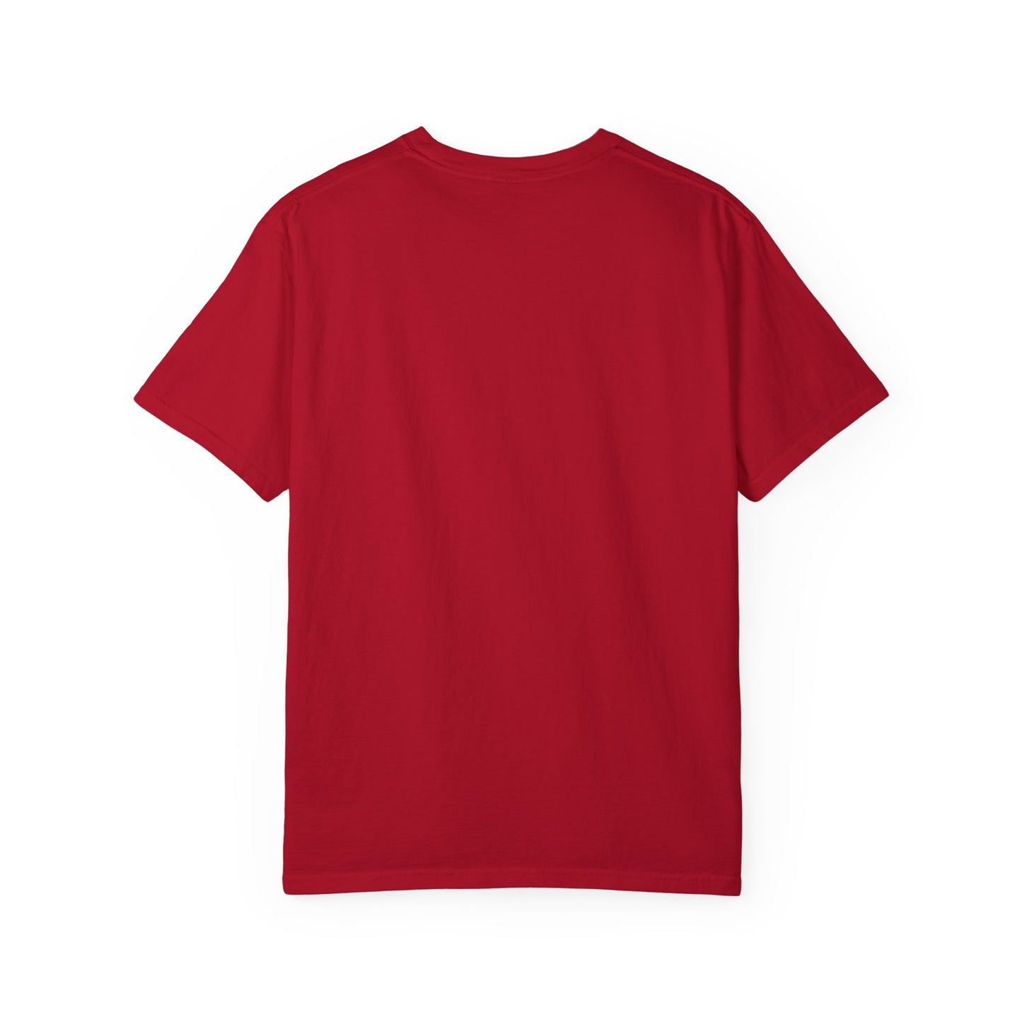 Toxic Statement Unisex Garment-Dyed T-Shirt - I DNT KNOW U